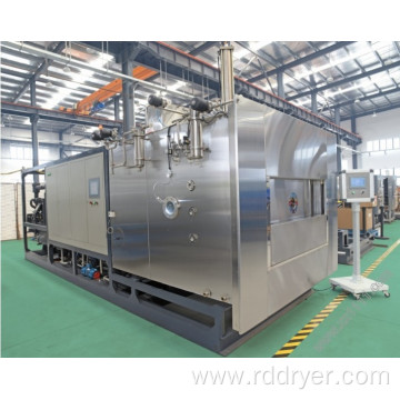 vacuum freeze dryer for sale